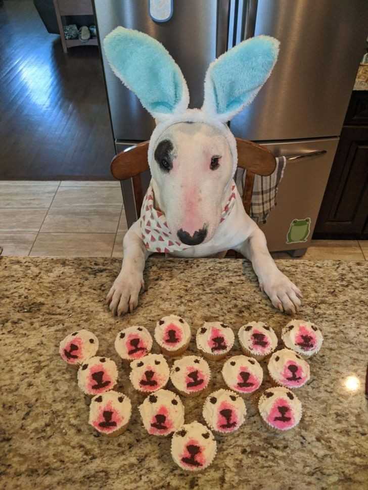 3. 
