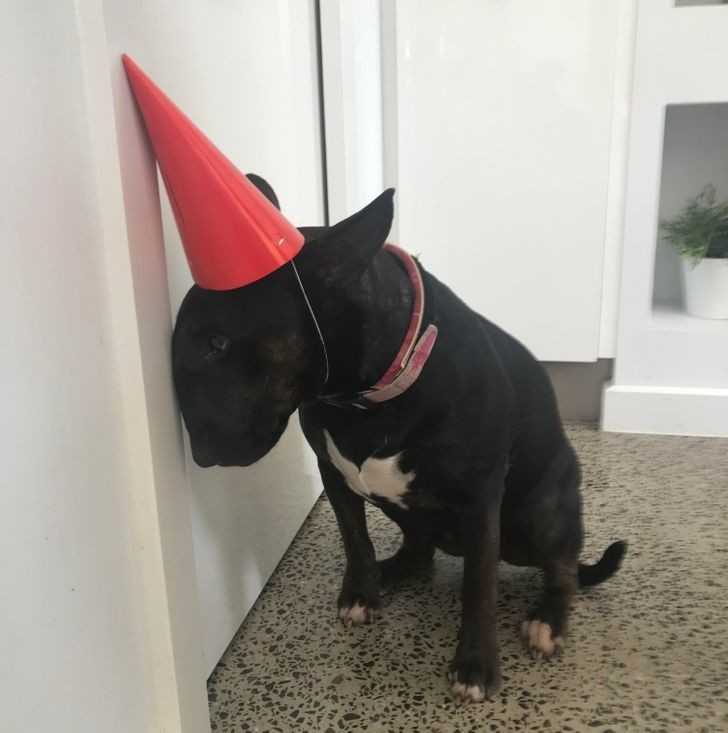 10. 