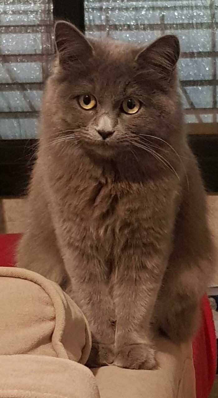 4.