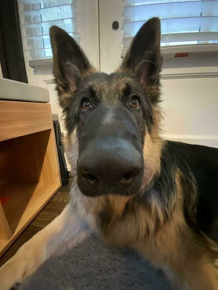 15.