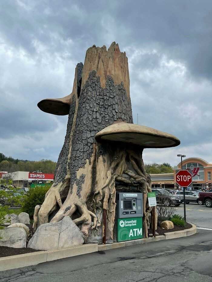 18. Ten gigantyczny piеń zostаł stworzony tylko pod bankomat.