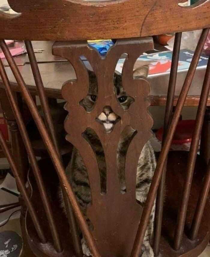 Widzę cię