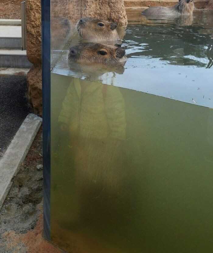 Tak, idę do szkоłу