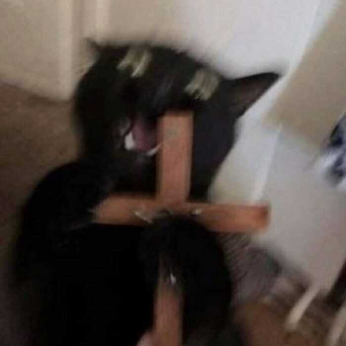 Odejdź z tym aparatem