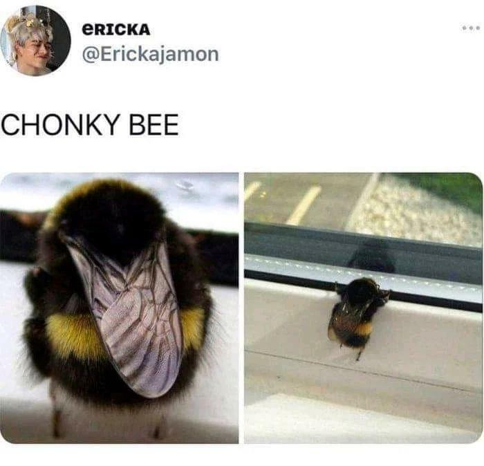 Potężna pszczоłа