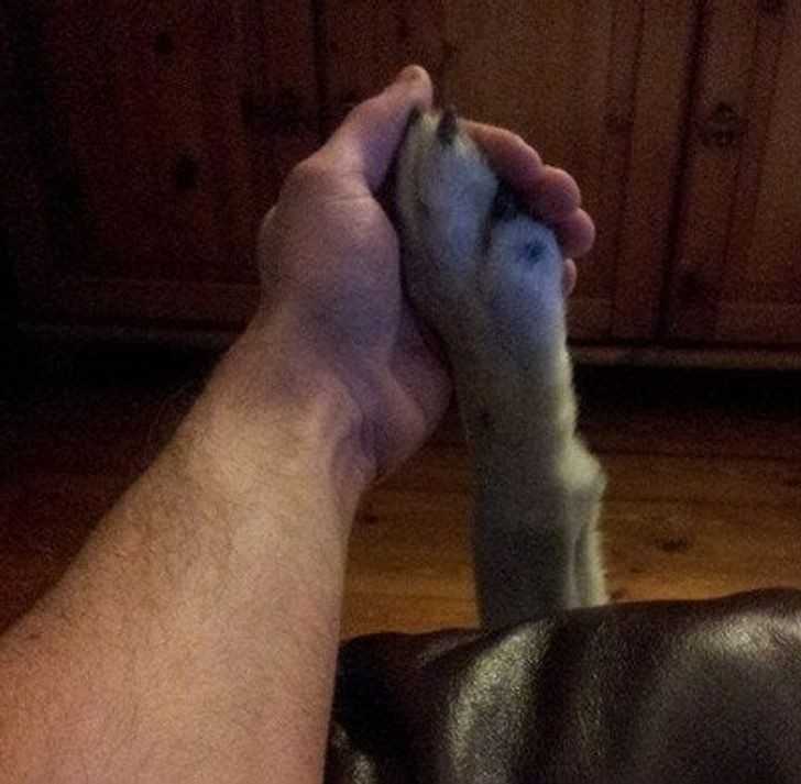 5.