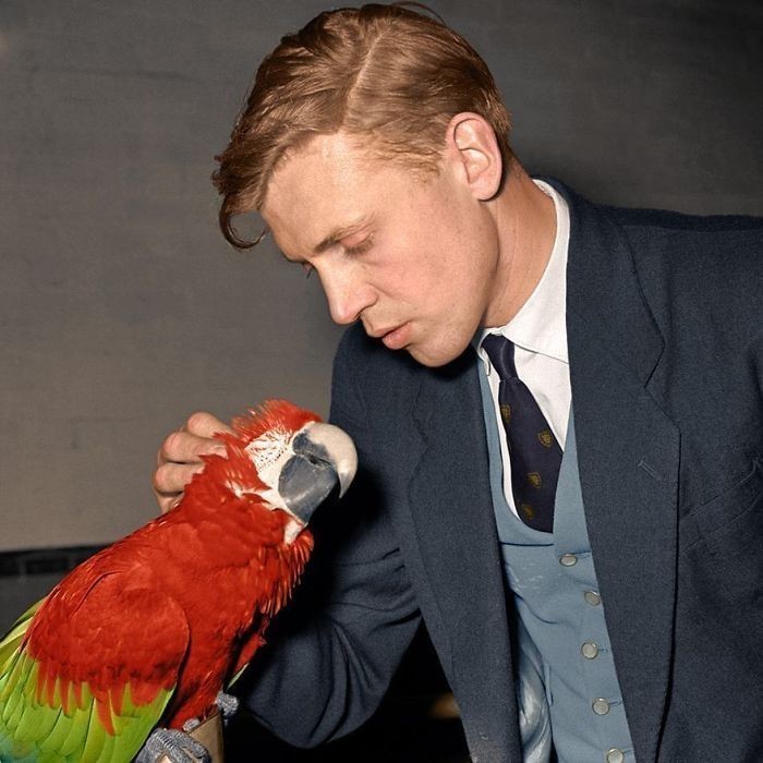 3. Sir David Attenborough głаszcząсy arę w 1950 roku