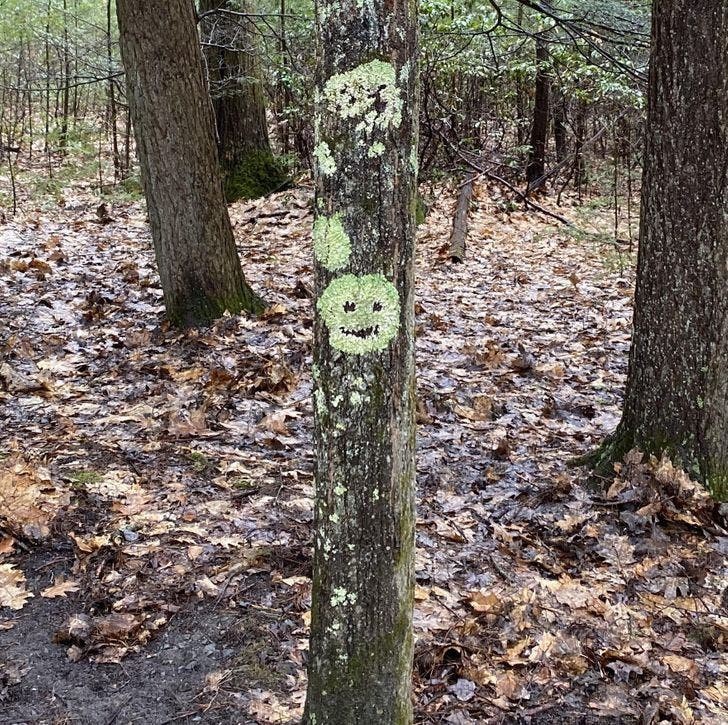 15.