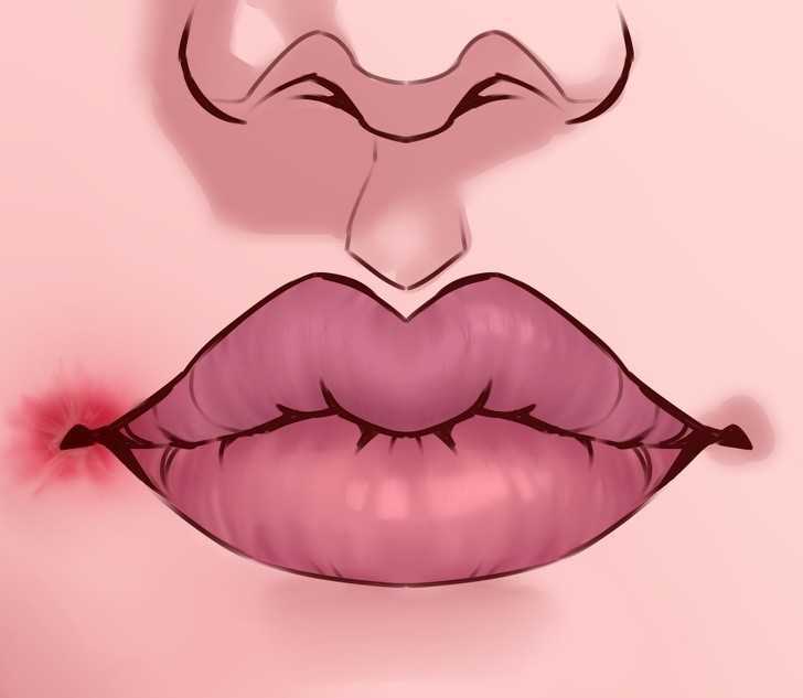 1. Zajady