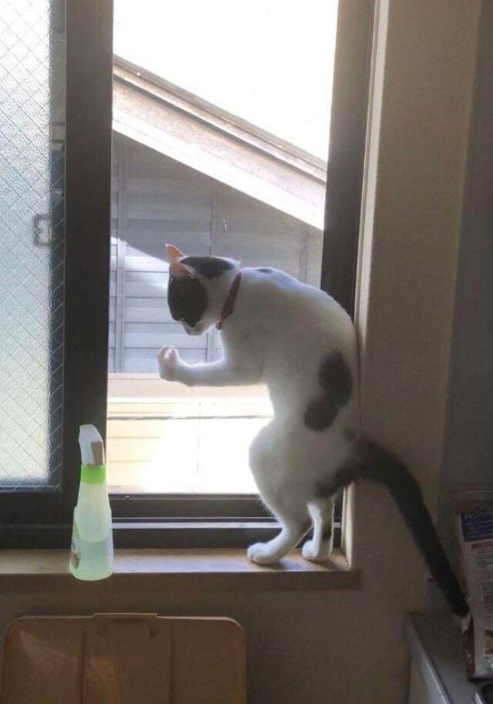 3.