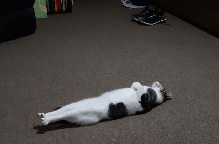 5.
