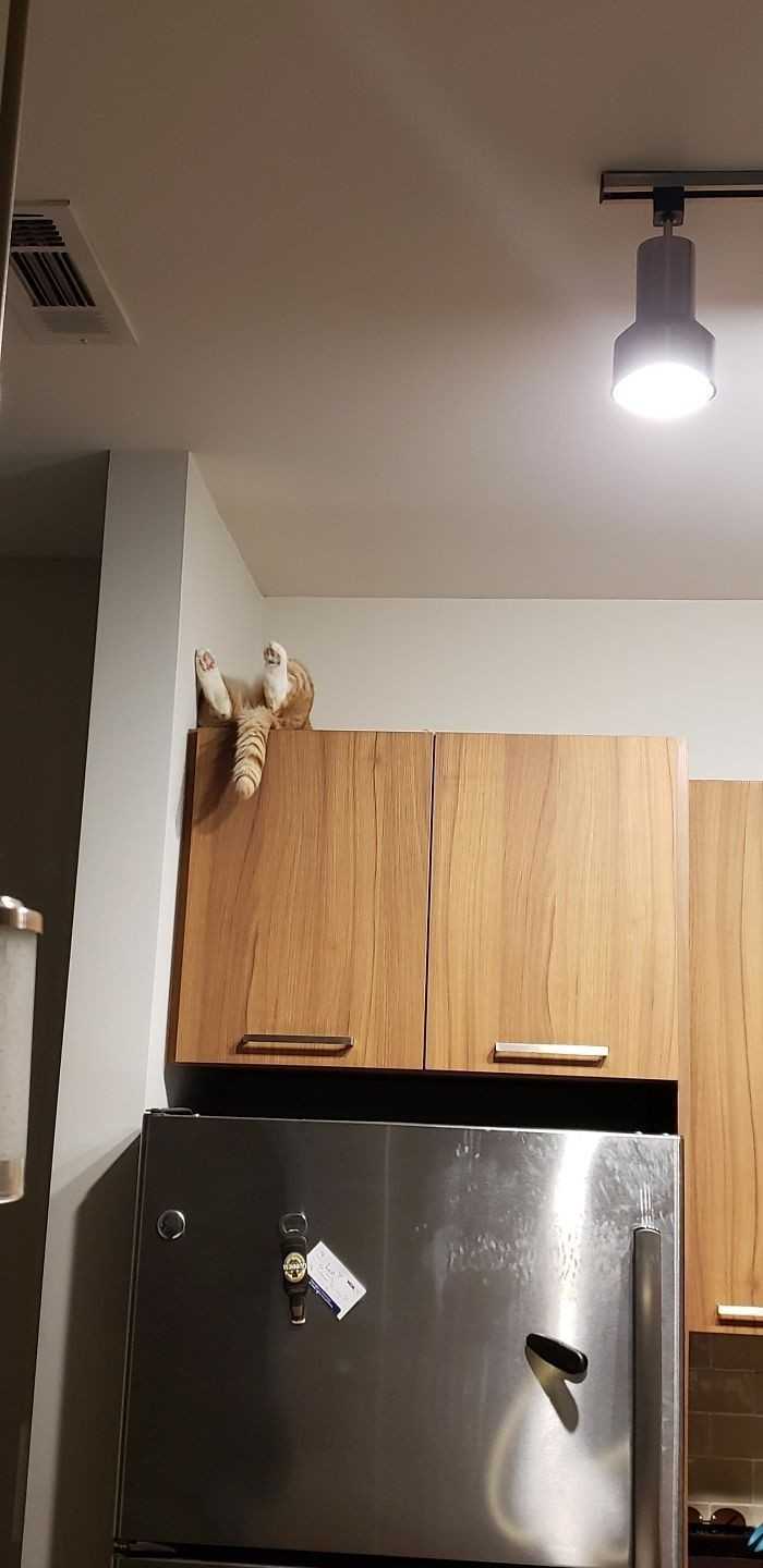10.