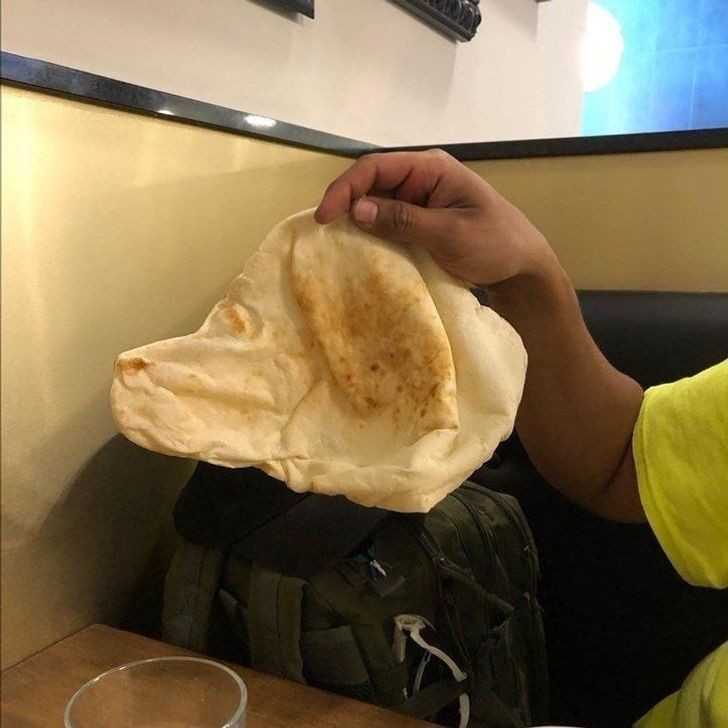3. Tortilla wyglądająсa niczym pies