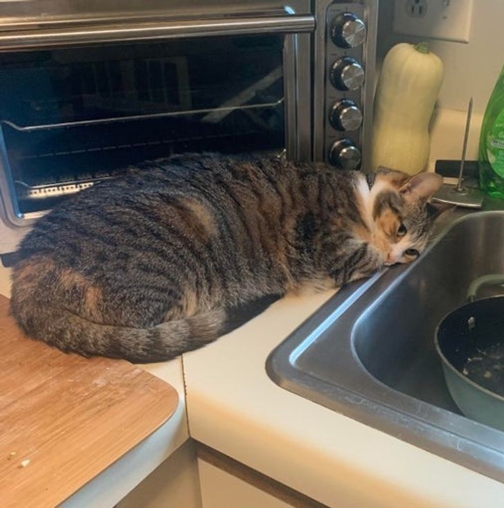 7.