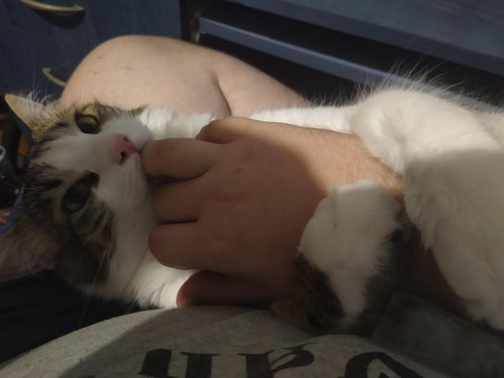 15.