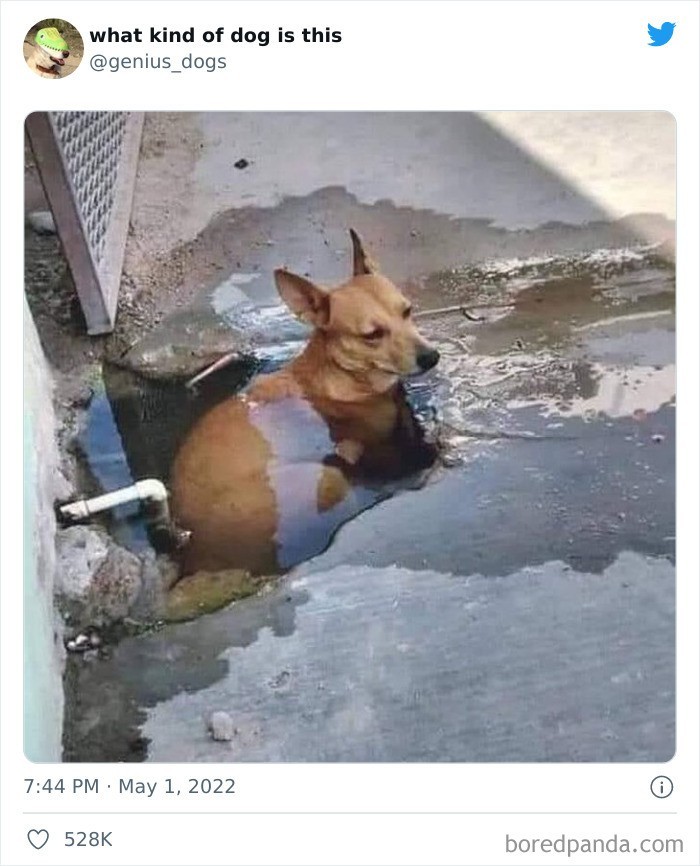 Wie jak się schłоdzić
