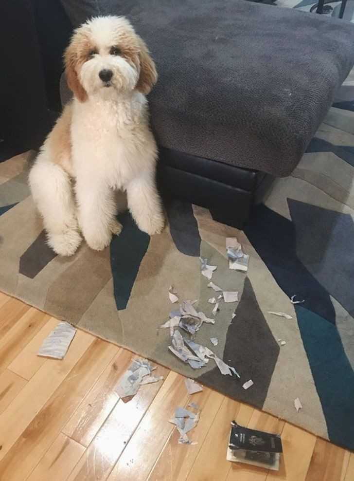 10.
