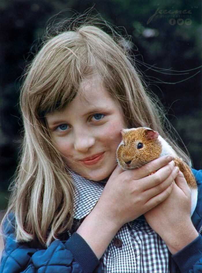 Młоda księżna Diana i jej świnka morska Peanut, 1972