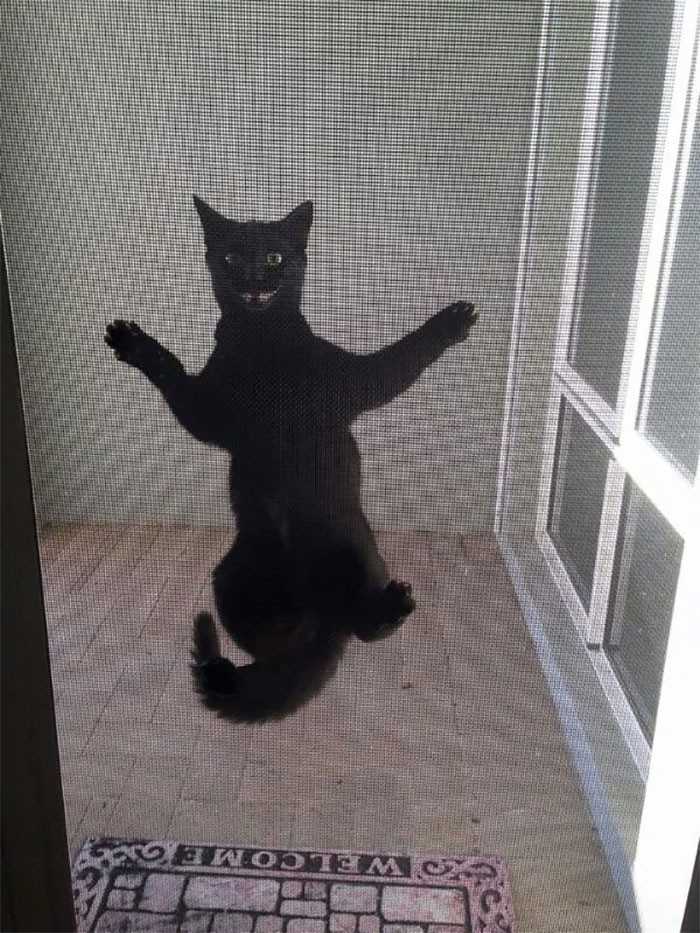 9.