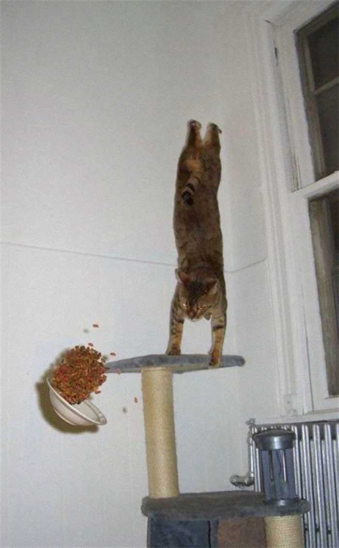 14.
