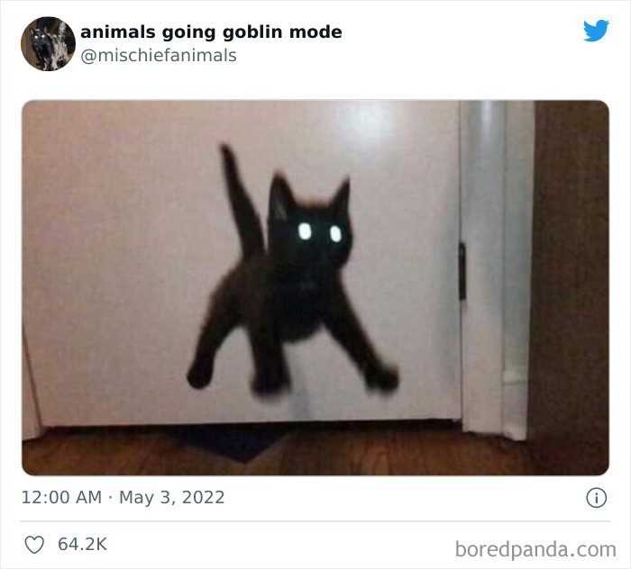 Gdy przywоłаsz mаłеgo demona