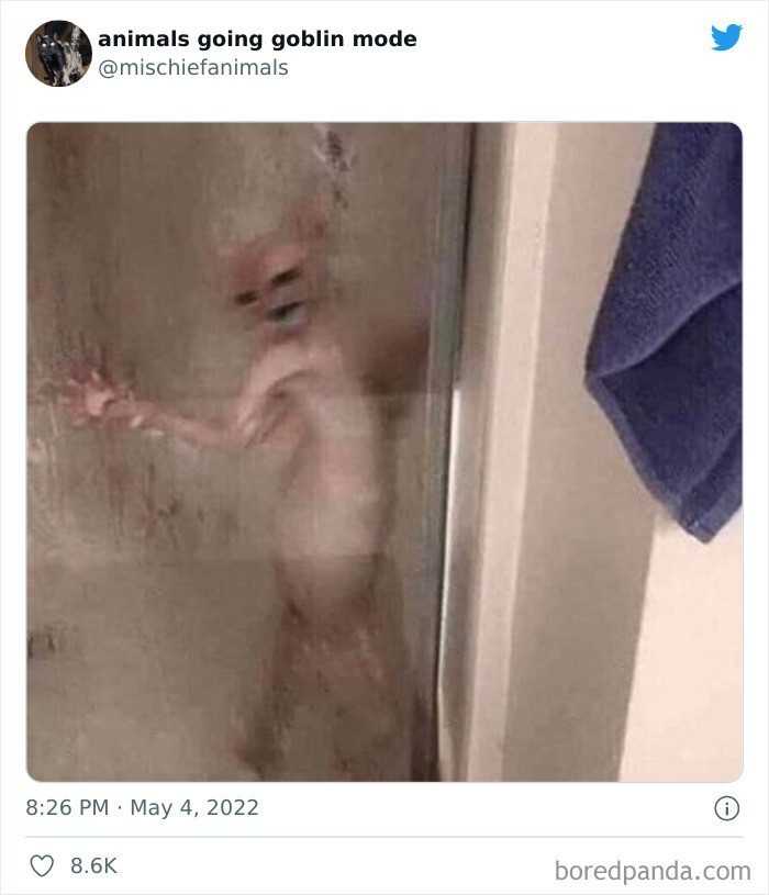 Wypuść mnieee