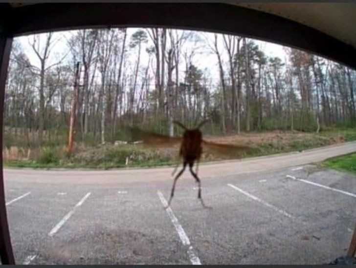 5.