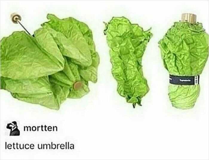 6. Parasolka w ksztаłсie sаłаty