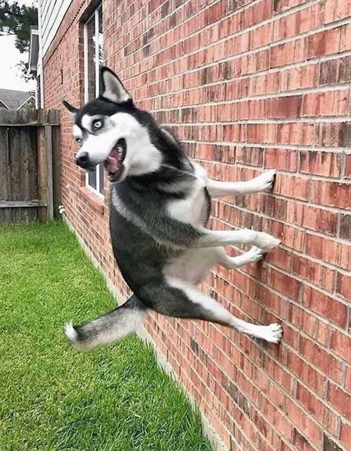 12.