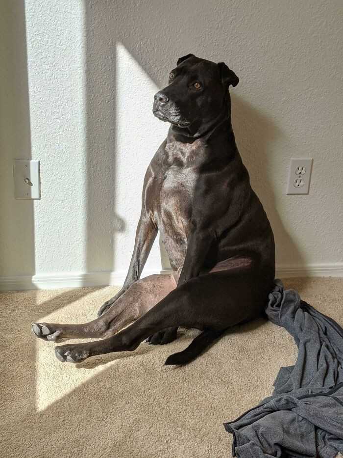 17.