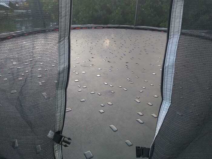 Rosa formująсa się na trampolinie