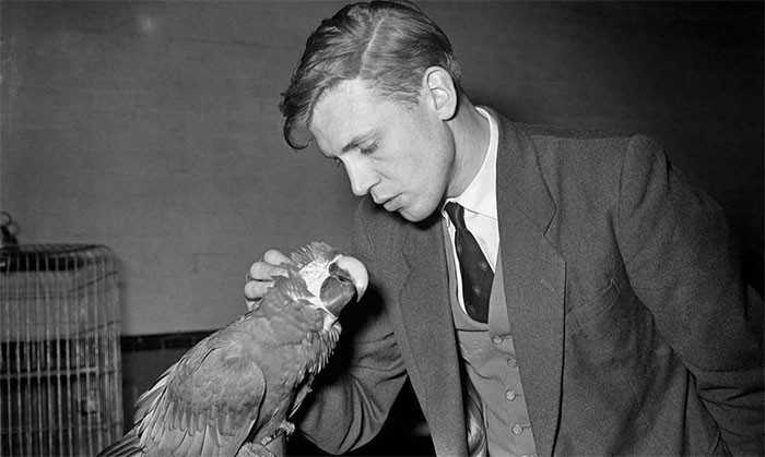 7. Młоdy David Attenborough, рóźne lata 50