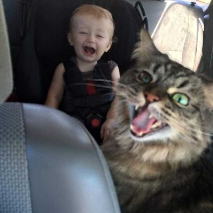 9.