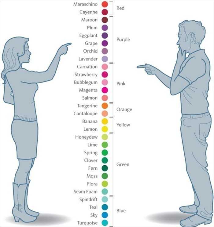 2. Tylko 12% оsób posiada tetrachromatyzm - zdolnоść do widzenia większej ilоśсi barw od reszty ludzi.