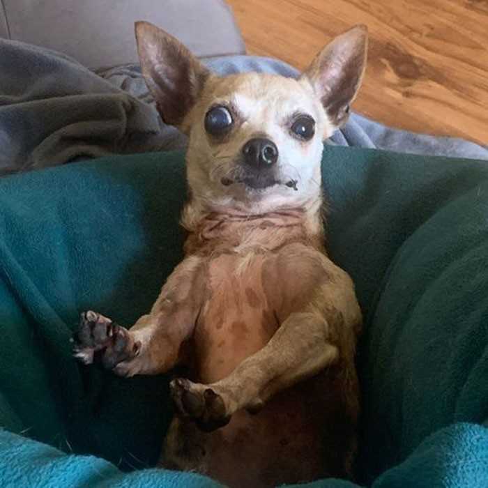 2.