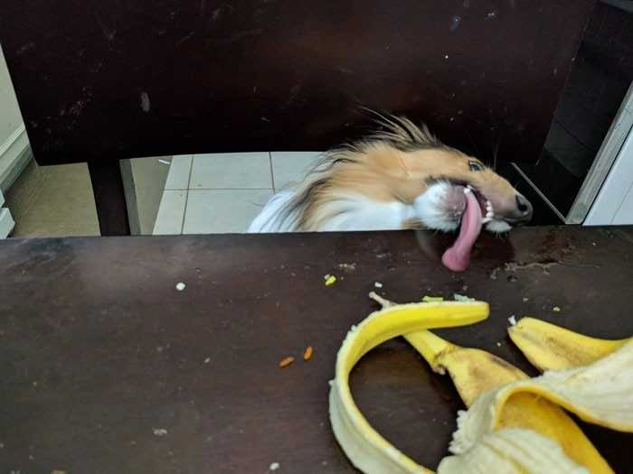 11.