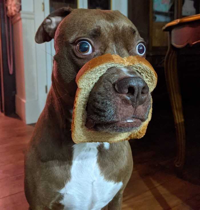 17.