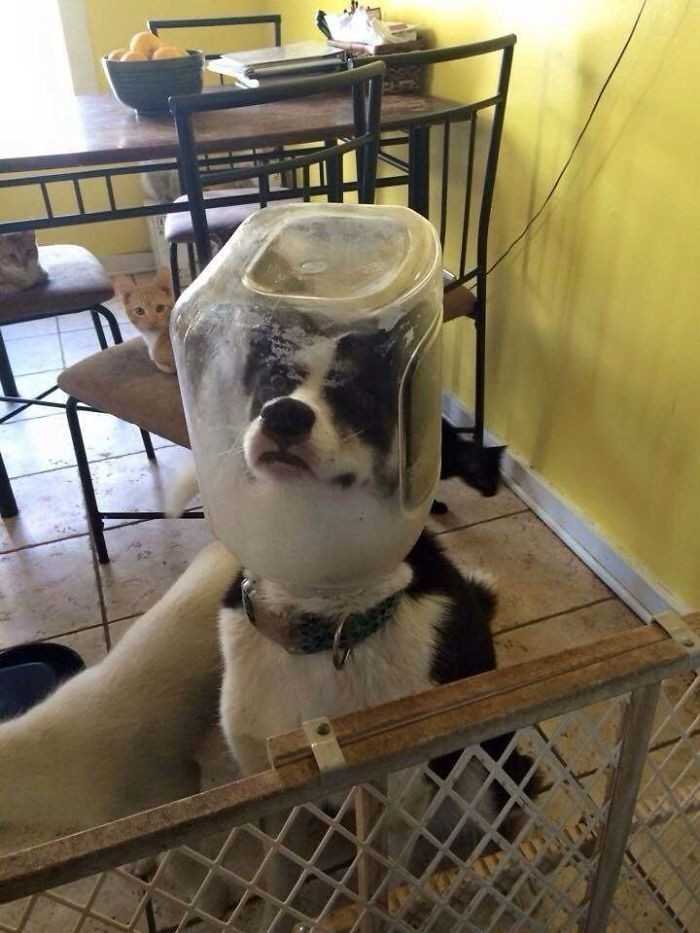 7.