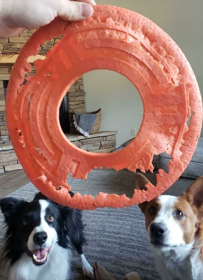 13.