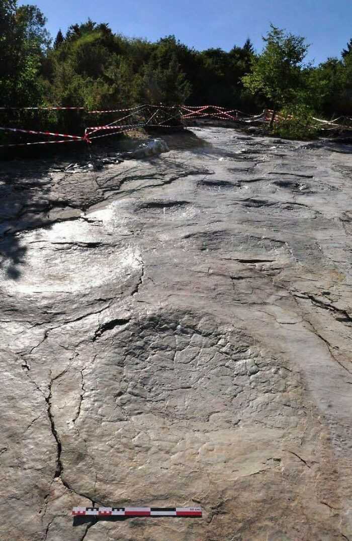 Odciski pozostawione przez dinozaura 150 miliоnów lat temu we Francji