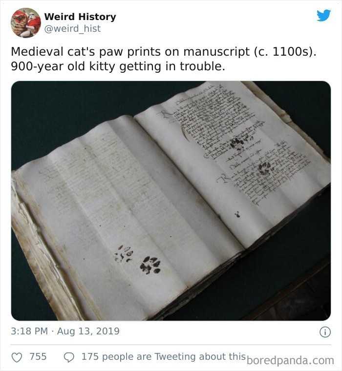 7.