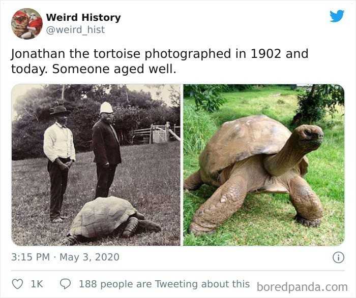 11.