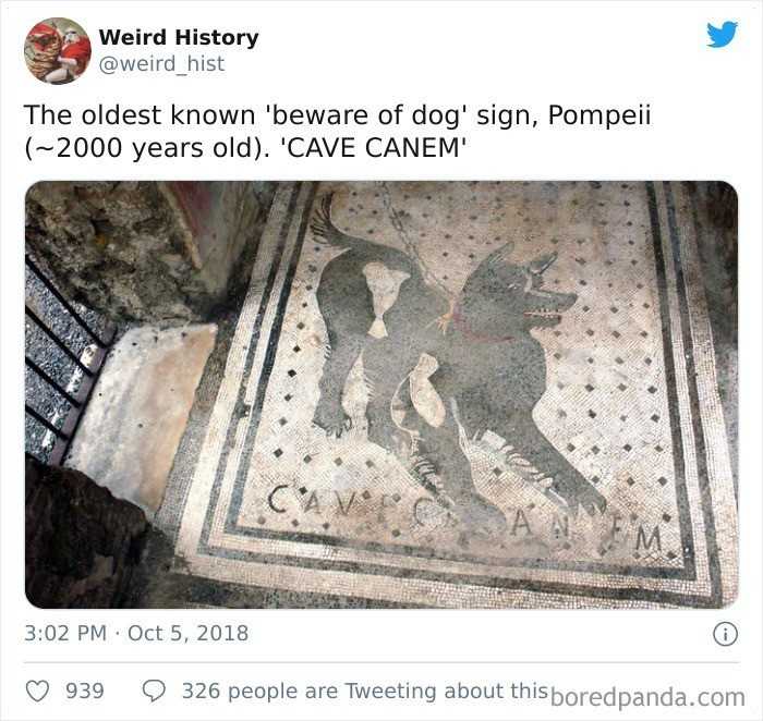 13.
