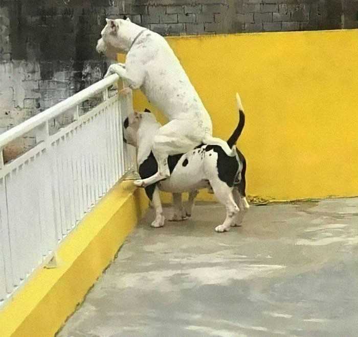 7.