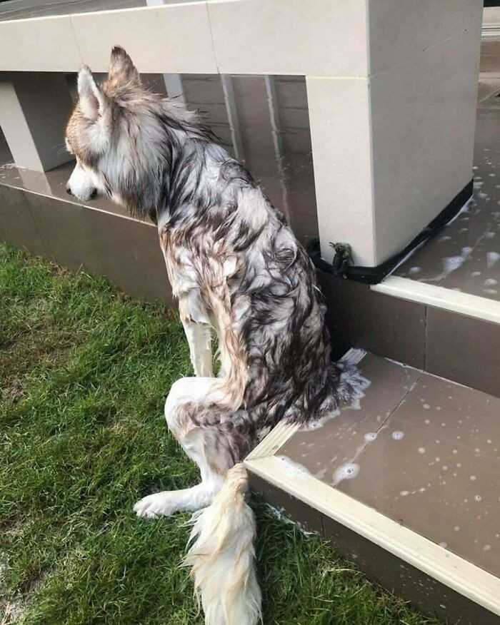 9.