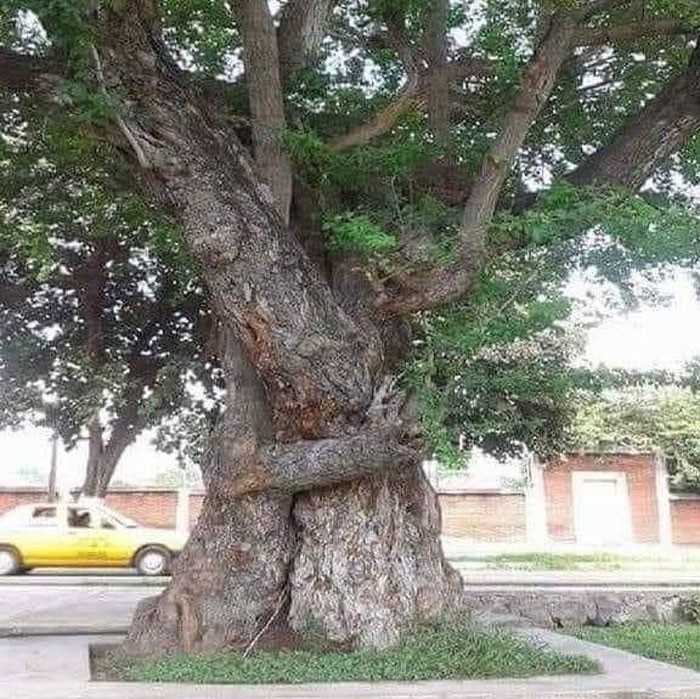 Wieczna miłоść