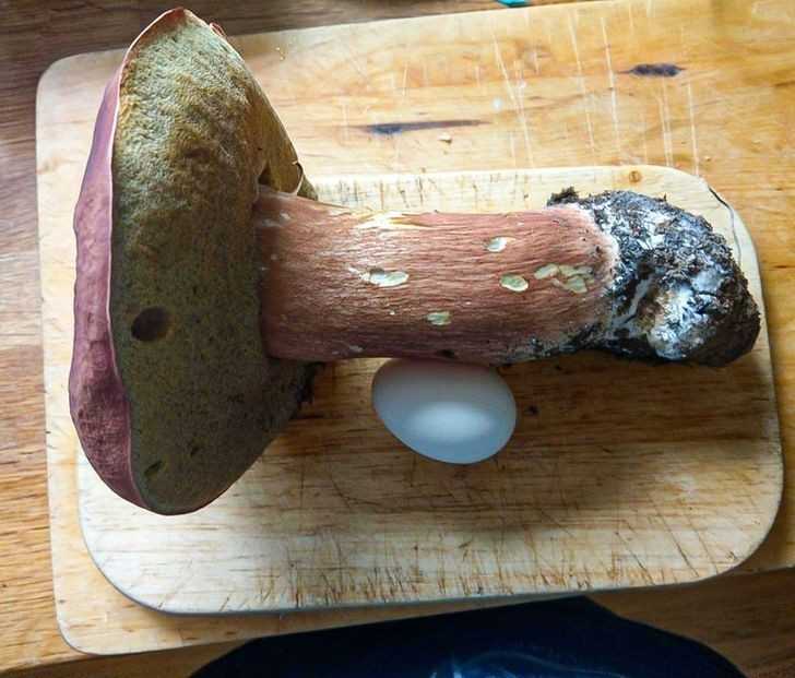 12.