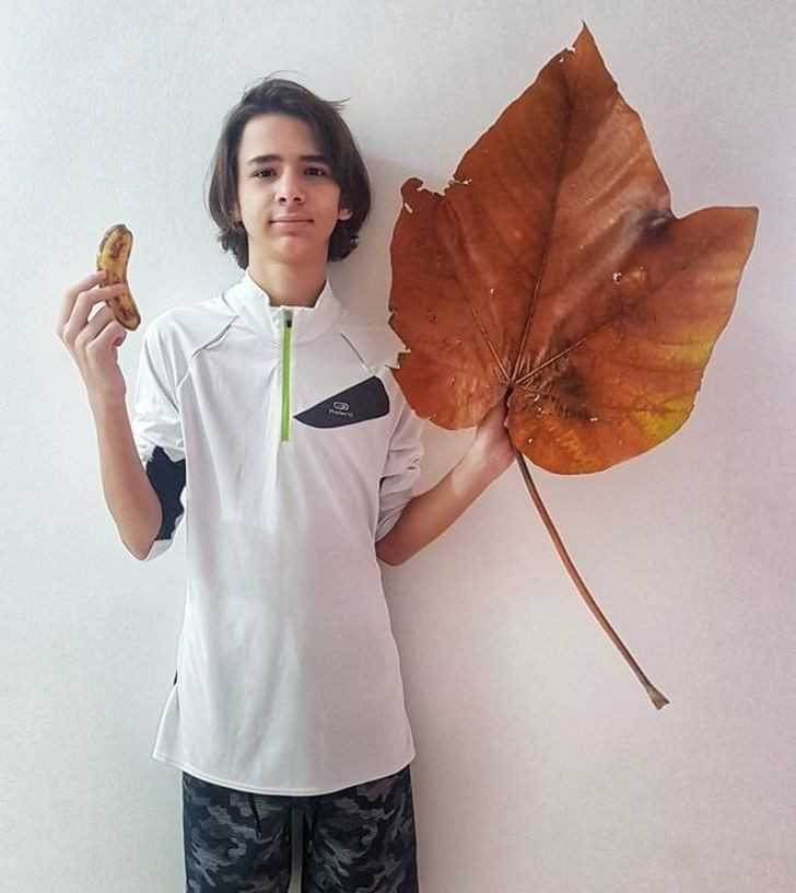 16.