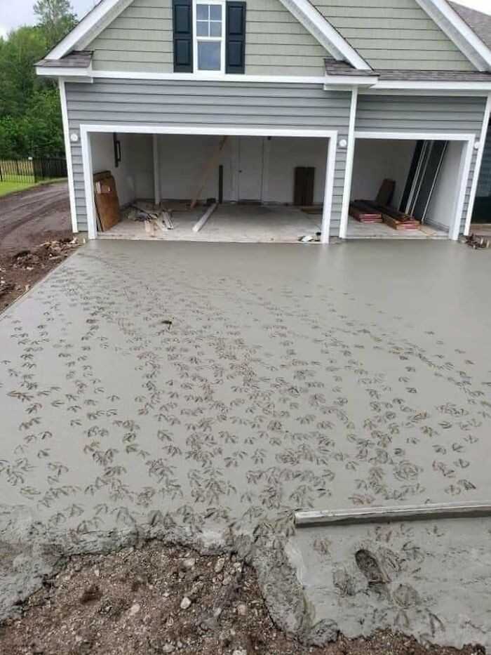 Robotnicy wylali beton przed domem nieopodal stawu z kaczkami. Poszli na przerwę, a gdy wróсili...