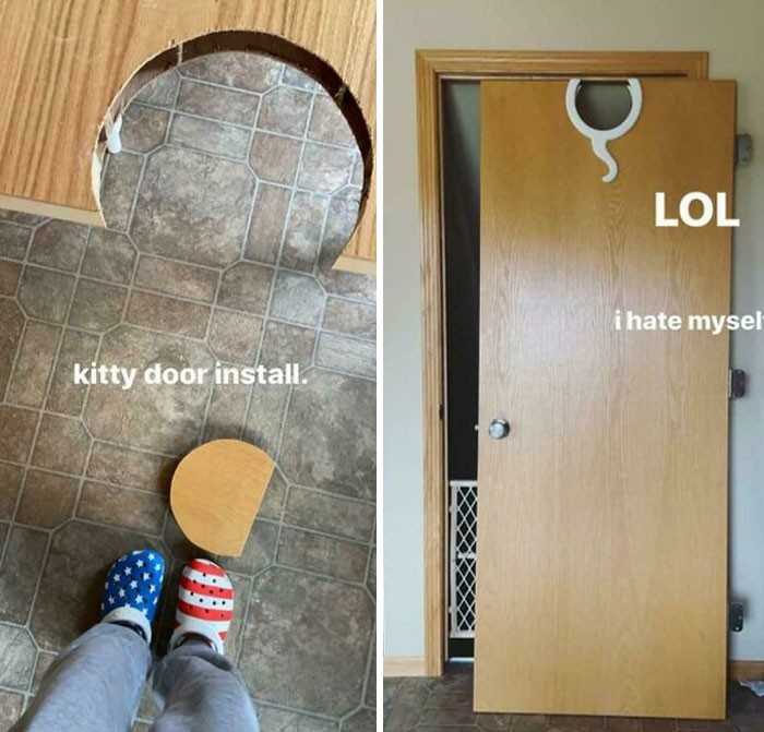 Wejśсie dla kota